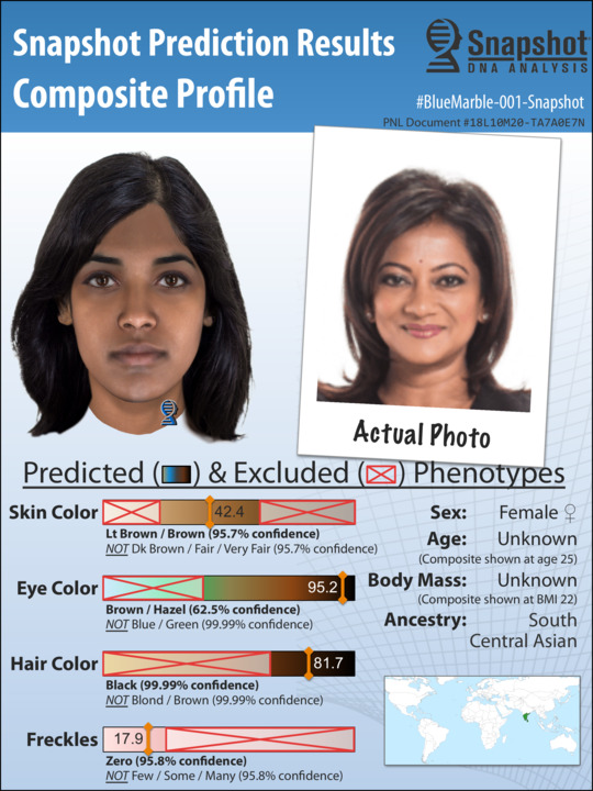 Example Snapshot Composite